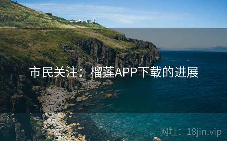市民关注:榴莲APP下载的进展